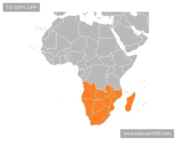 南非赌场：南非赌场行业的经济影响与对旅游业的带动作用分析